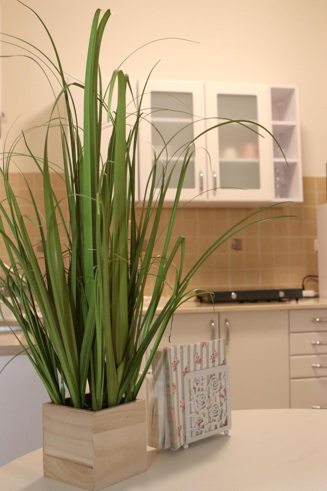 Gödöllő Tulipan Apartman מראה חיצוני תמונה