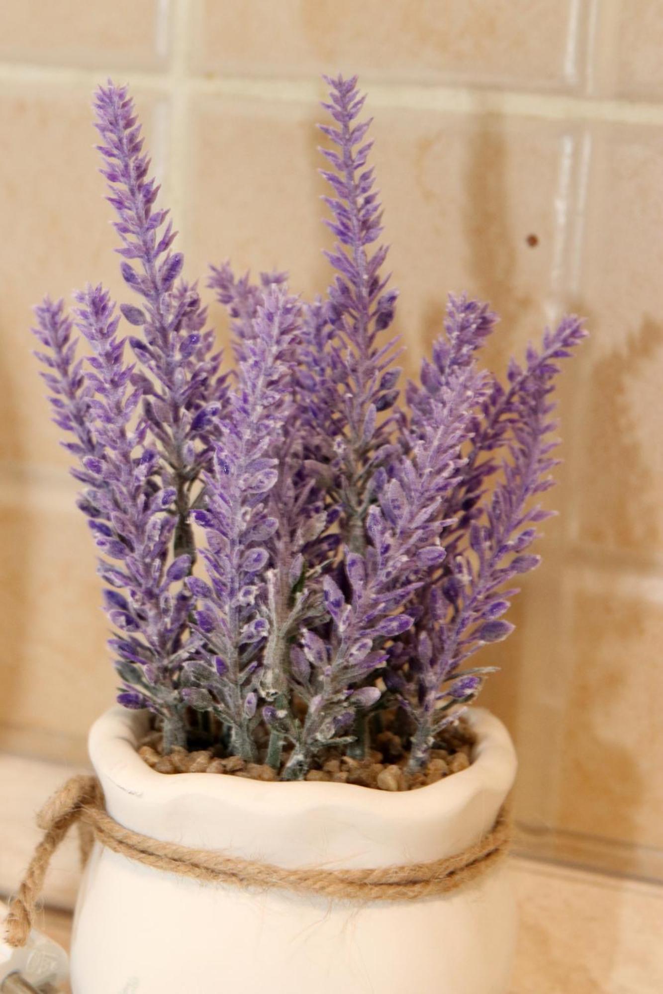 Gödöllő Tulipan Apartman מראה חיצוני תמונה